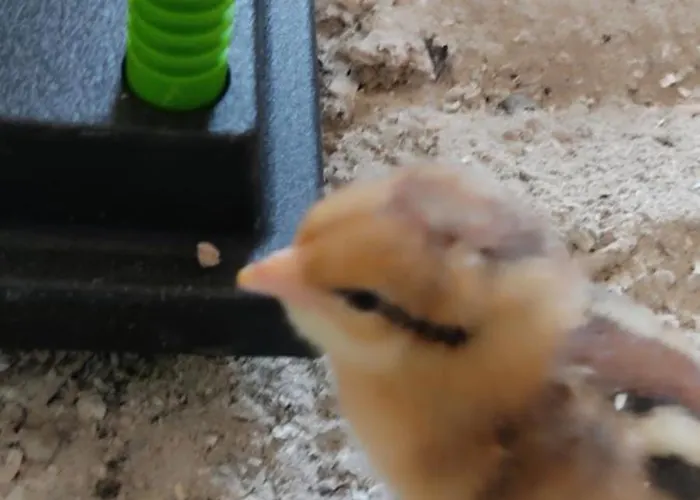 Sonnenhang Wuernitz Appartement Wurnitz