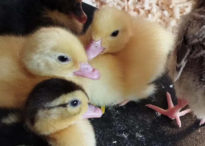 Apartment Sonnenhang Wuernitz *